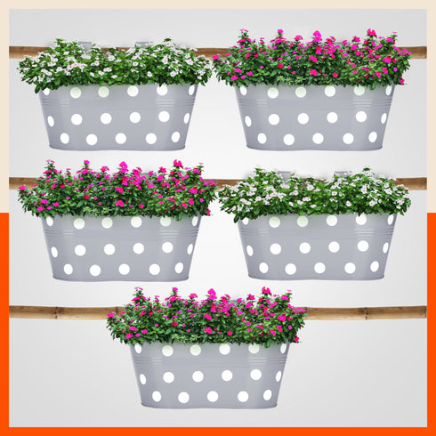 ARA Hanging Metal Pot Holders / Planters for Home / Balcony / Garden | Ash - Set of 5